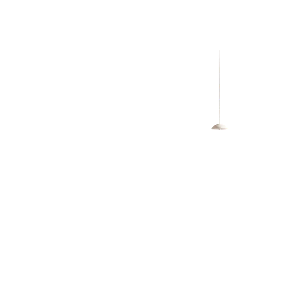 PendantLight blank